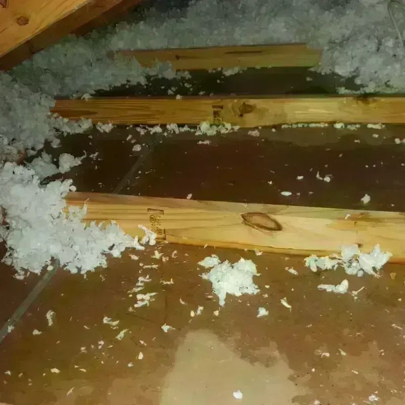 Attic Water Damage in Rosslyn, VA